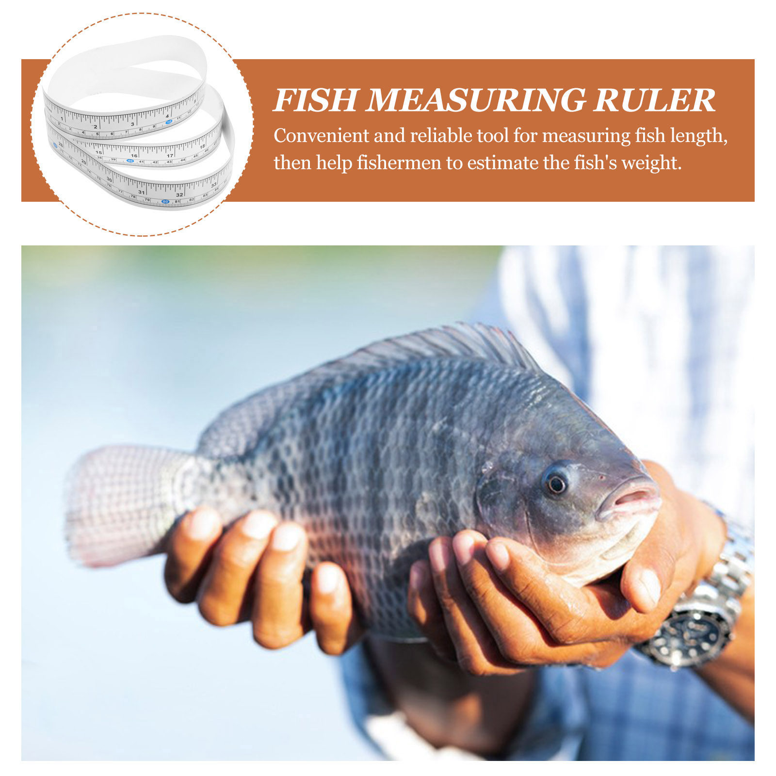 Règle de mesure pour poissons, - Fishing Boat Seat avis et prix